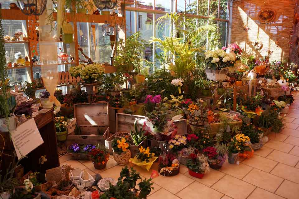 Laden-Herbstdeko-2015