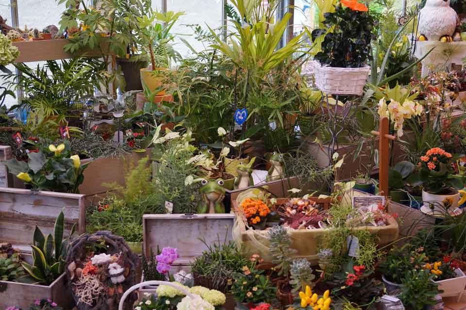 Laden-innen-Herbst-2015!